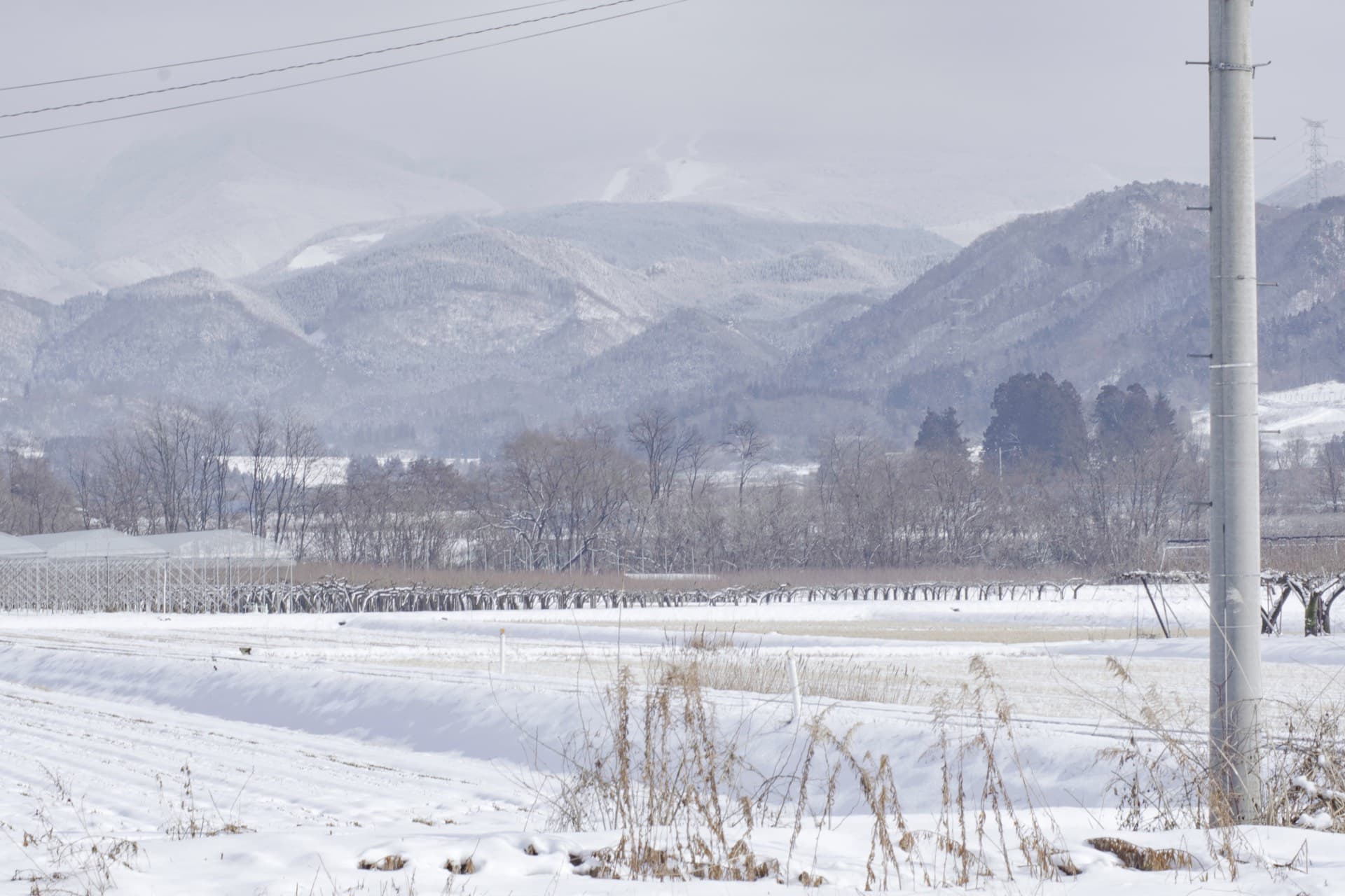 蔵王連峰の眺望