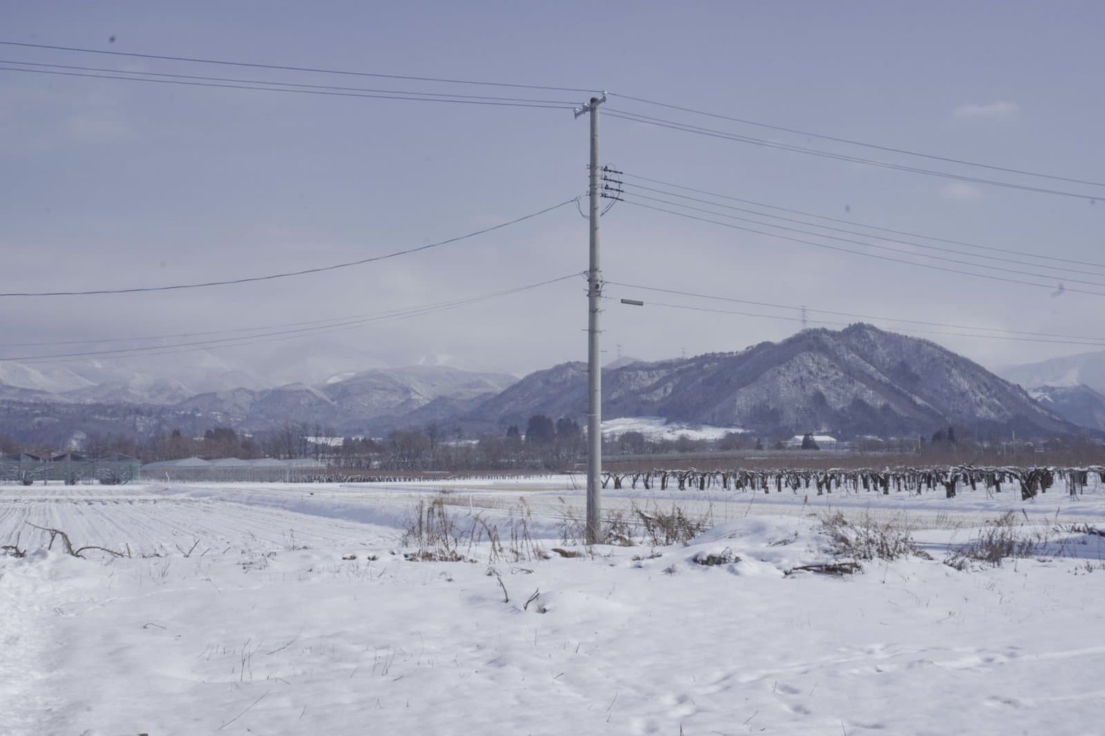 雪景色と蔵王連峰の遠景