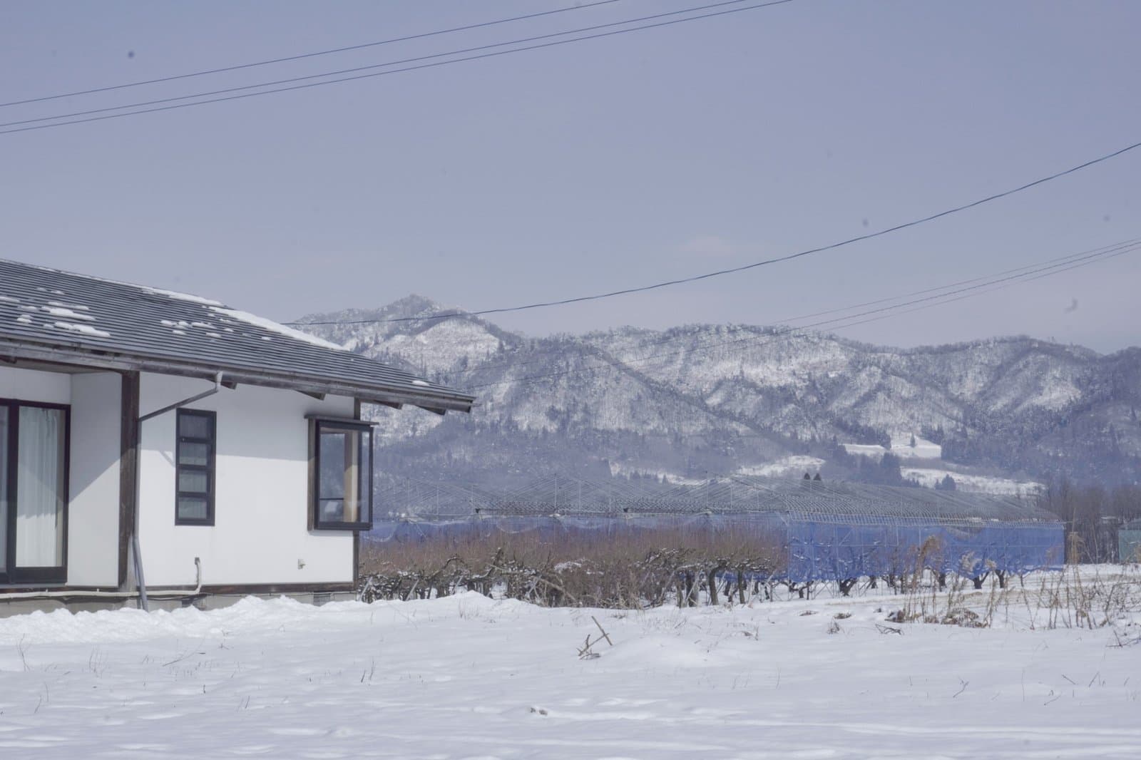 建物外観と蔵王連峰の眺望