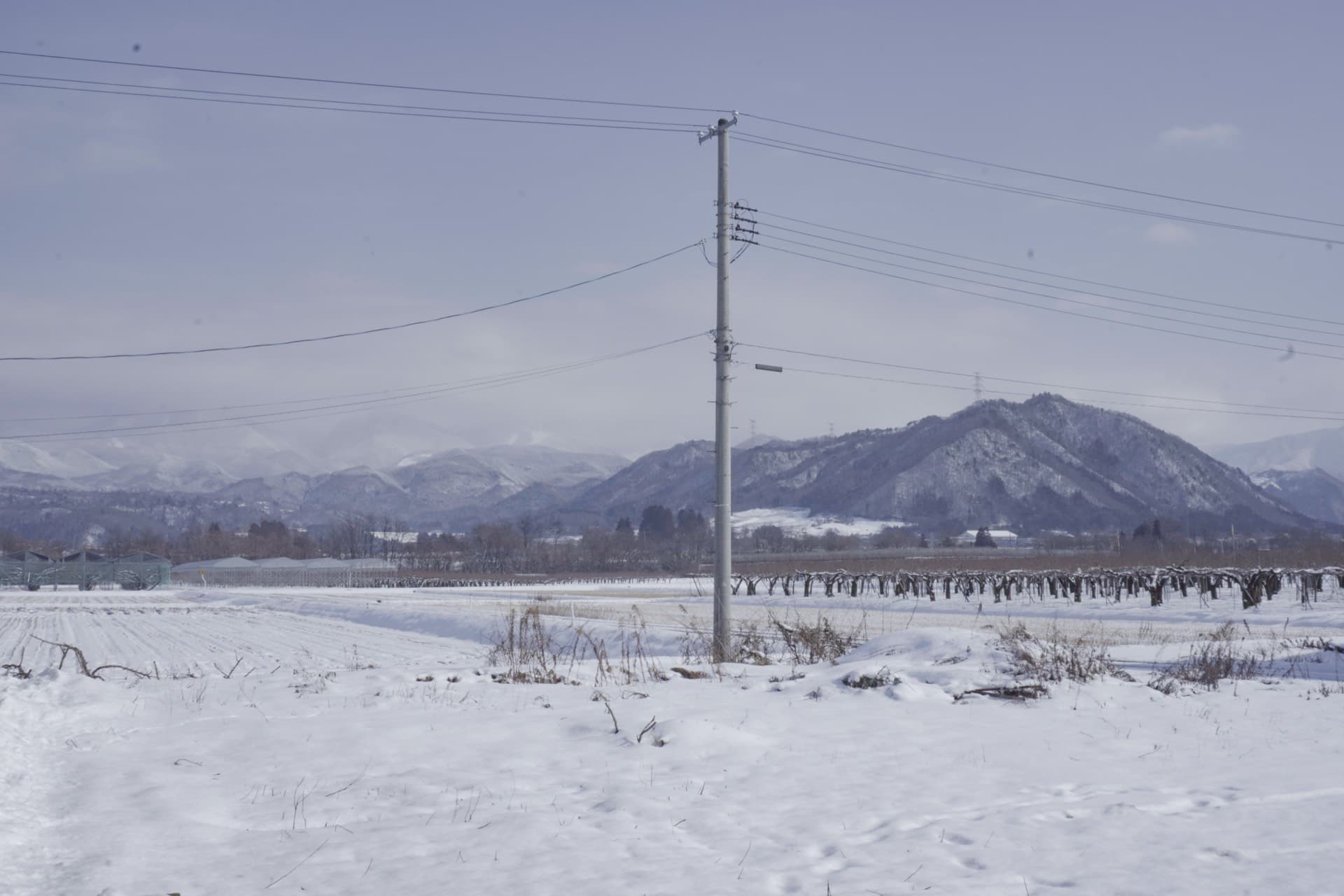 蔵王連峰の雪景色